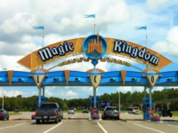 Niche Utama 2 A Handy Guide to Reach Magic Kingdom from Hollywood Studios  by