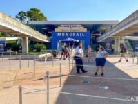 Niche Utama 2 Disney World Transportation Guide: How To Get From Hollywood