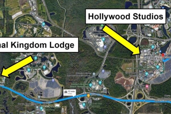 Navigate The Magic: Insider Tips On Getting From Hollywood Studios To Animal Kingdom With Ease