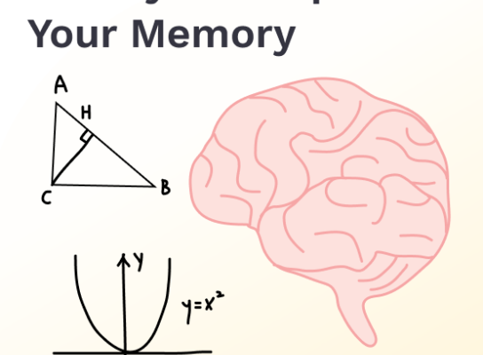 Unlock Your Brain’s Potential: Expert Tips On Enhancing Memory For Successful Studying