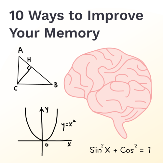 Unlock Your Brain’s Potential: Expert Tips On Enhancing Memory For Successful Studying