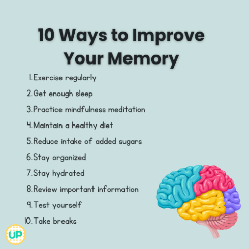 Niche Utama 2  Ways To Improve Memory