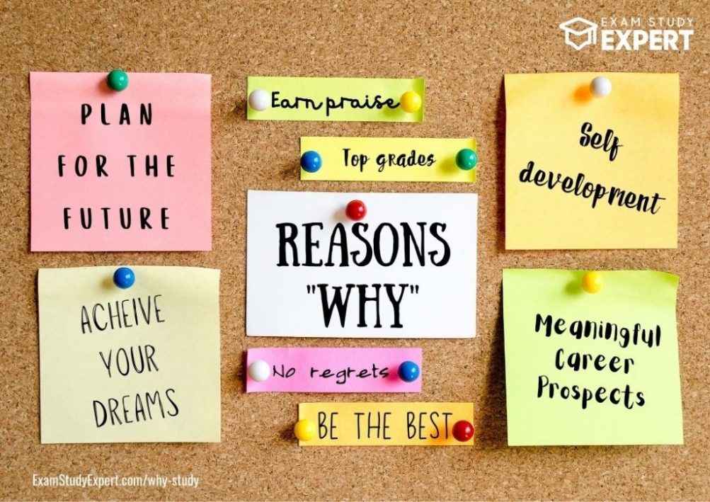 Niche Utama 2 Why Study?  Reasons & Benefits To Inspire & Motivate You - Exam